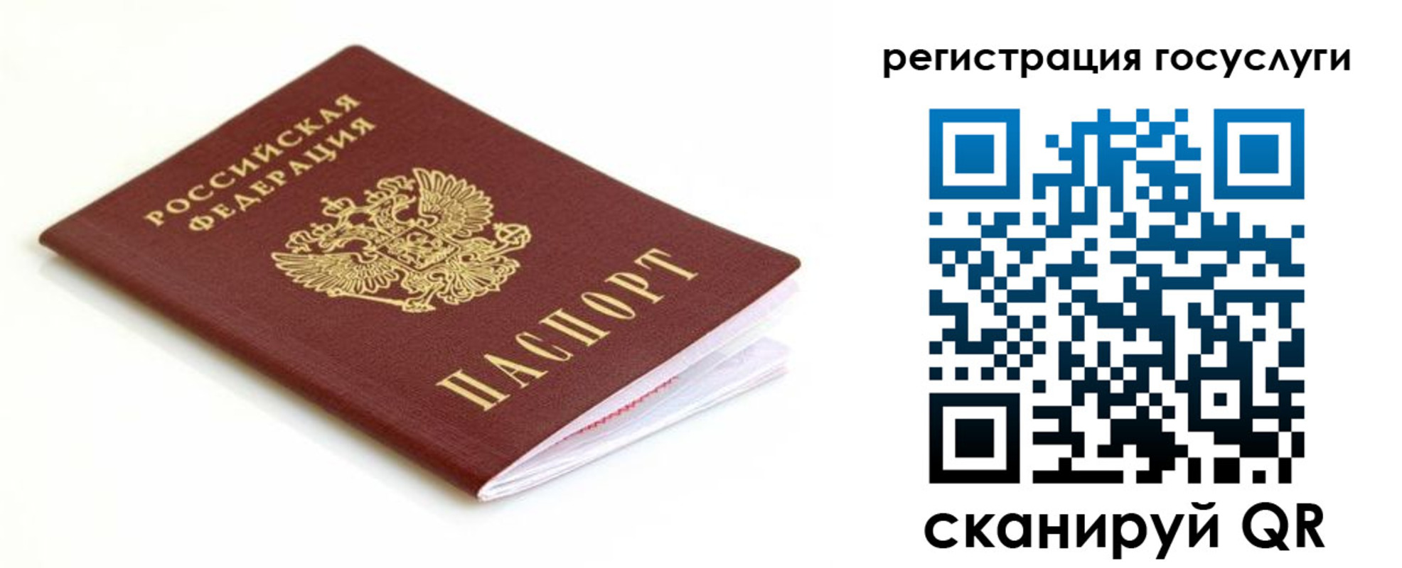 временная регистрация гарантия в Ковдоре